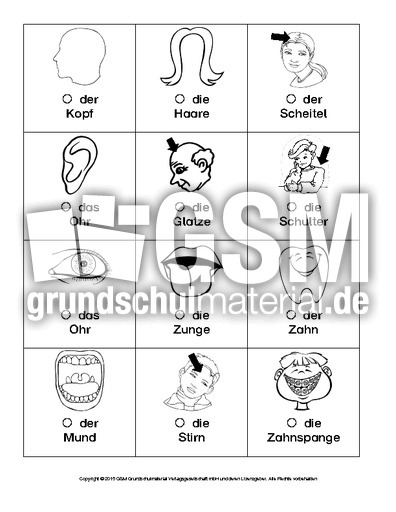 DAZ-Körperteile-Ausschneidebogen.pdf
